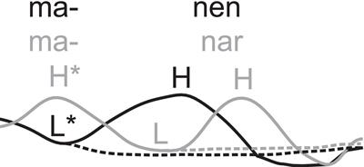 The predictive function of Swedish word accents